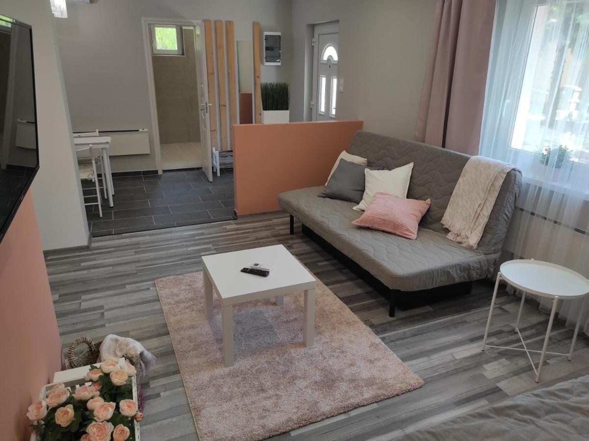 7 Days Apartment Makó エクステリア 写真